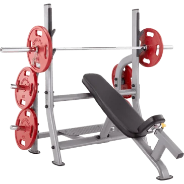 Mega Power 3D Poitrine - Steelflex