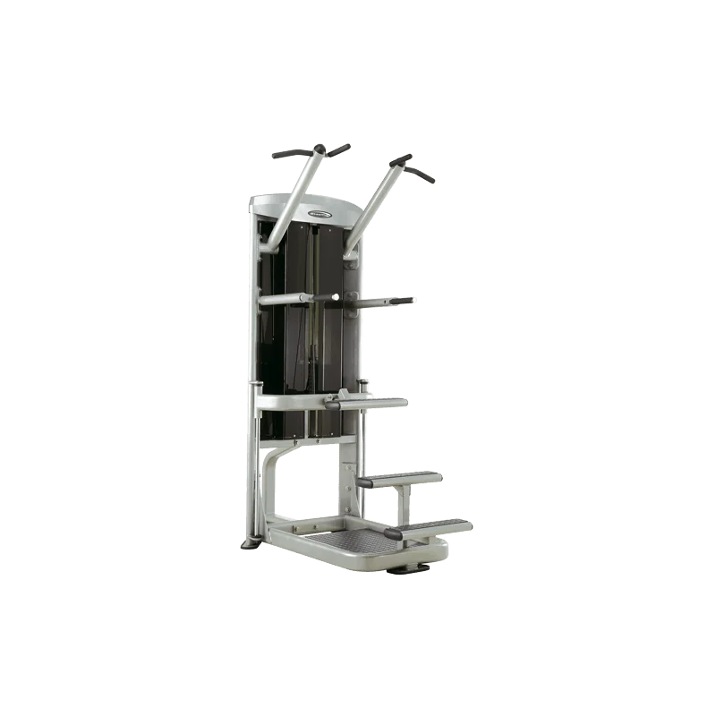 Mega Power Chin up et Dips - Steelflex