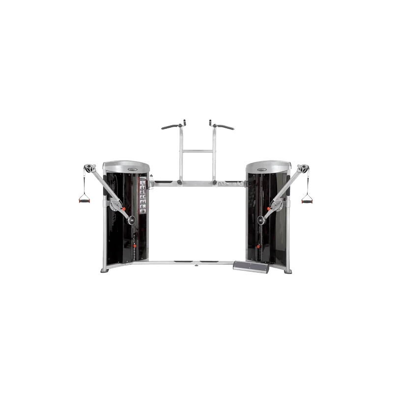 Mega Power Dual Cable Column & Chin up et Dips - Steelflex