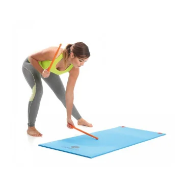 Fit stick fuchsia x2 de Sveltus pas cher - Nutriwellness