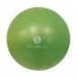 Ballon pédagogique vert Ø22/24 cm vrac - Sveltus