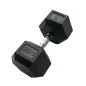Haltère hexagonale 25 kg x1 - Sveltus