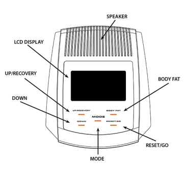 Best Fitness Vélo Semi Couché BFRB1 pas cher - Nutriwellness