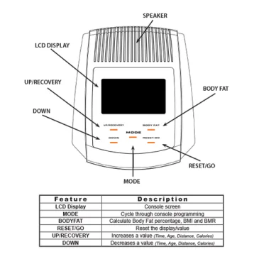 Best Fitness Elliptique BFCT1 pas cher - Nutriwellness