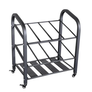 Chariot de rangement pour tapis de Body-Solid pas cher - Nutriwellness