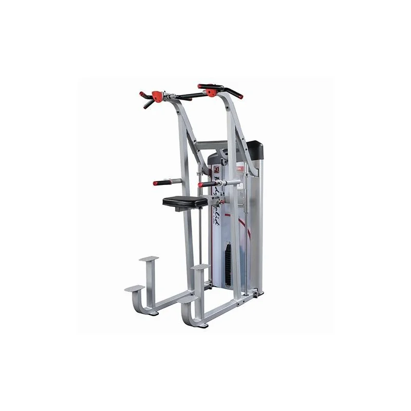 Machine dorsaux assistée contrepoids 105kg - Body-Solid