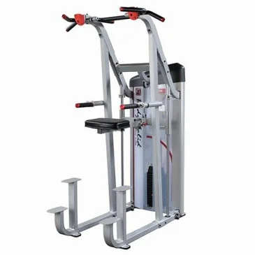 Machine dorsaux assistée contrepoids 105kg Body-Solid - Nutriwellness