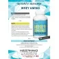 WHEY AMINO 100 comprimés - Futurelab