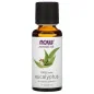 Essential Oil, Eucalyptus Oil - 118 ml - NOW Foods