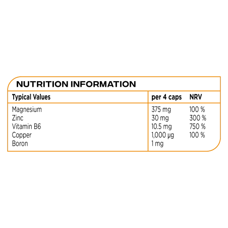 Zinc Matrix - 100 caps - Reflex Nutrition