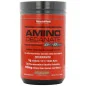 Amino Decanate - 378 - 384 grams - MuscleMeds