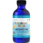 Children's DHA - 530mg Strawberry - 119 ml - Nordic Naturals