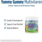 Nordic Berries Multivitamin - 120 gummy berries - Nordic Naturals