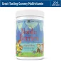 Nordic Berries Multivitamin - 200 gummy berries - Nordic Naturals