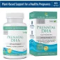 Prenatal DHA Vegan, 500mg - 60 softgels - Nordic Naturals