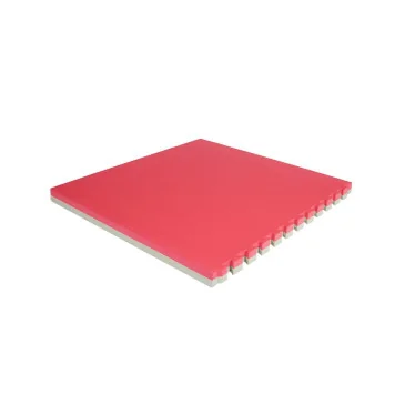 Dalle Dojo 50mm pas cher - Nutriwellness