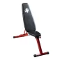 Best Fitness Banc ajustable BFFID25
