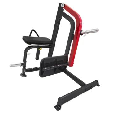 Plate Load Hip Extension PLHE de Steelflex pas cher - Nutriwellness