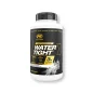 Gold Series Watertight - 90 vcaps - PVL Essentials