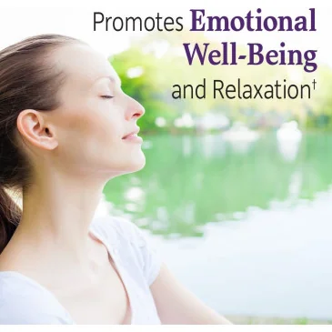 Dr. Formulated Probiotics Mood+ - 60 vcaps de Garden of Life pas cher