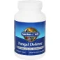 Fungal Defense - 84 vcaps - Garden of Life