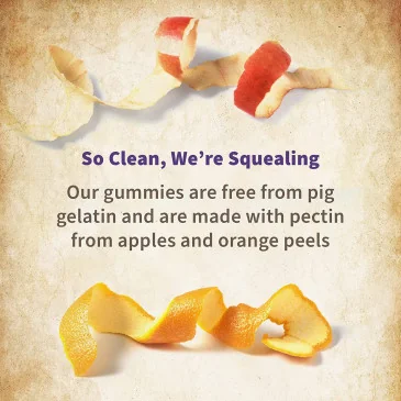 Mykind Organics Prenatal Multi Gummies, Organic Berry Garden of Life