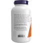 Vitamin B-100 - 250 vcaps - NOW Foods