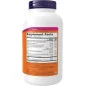 Vitamin B-100 - 250 vcaps - NOW Foods