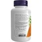 Astragalus, 500mg - 100 caps - NOW Foods Astragalus, 500mg - 100 caps - NOW Foods