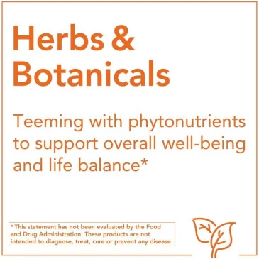 Burdock Root, 430mg - 100 capsules de NOW Foods pas cher