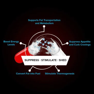 Lyzme 5 - 90 caps d'EFX Sports pas cher - Nutriwellness