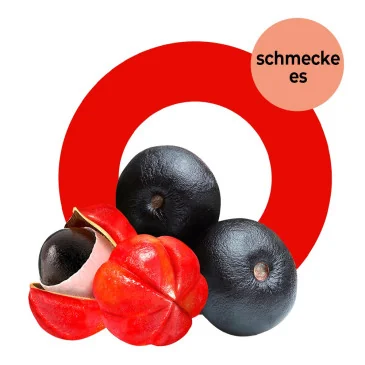 Bio Superfood Energy de Froofs pas cher - Nutriwellness