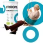 Bio Superfood Immunity Senior - Froofs