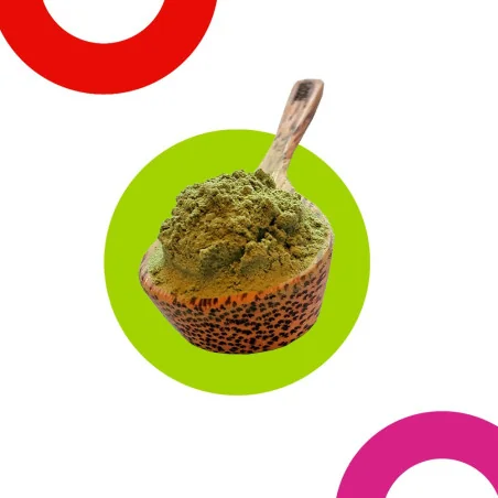 Cuillère en bois de coco - Froofs