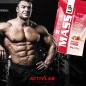 Mass Up 3000g - Activlab