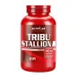 Tribu Stallion - Activlab Tribu Stallion - Activlab