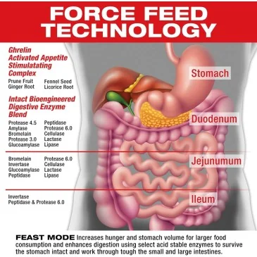 Feast Mode - 90 caps de MuscleMeds pas cher - Nutriwellness
