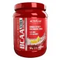 BCAA Xtra 500g - Activlab
