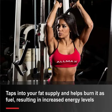 Liquid L-Carnitine 1500 - 473 ml d'AllMax Nutrition pas cher