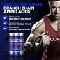 Leucine +, 5000mg - 400 grams - AllMax Nutrition Leucine +, 5000mg - 400 grams - AllMax Nutrition