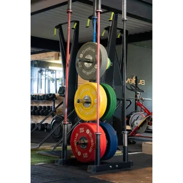 Rack Disques Et Barres Olympiques de Sveltus pas cher - Nutriwellness