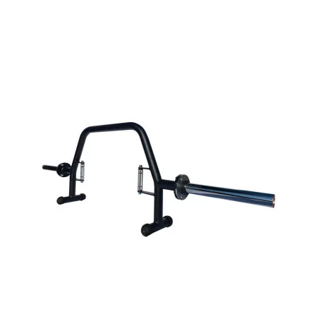 Ergonomic Trap Barre - Sveltus