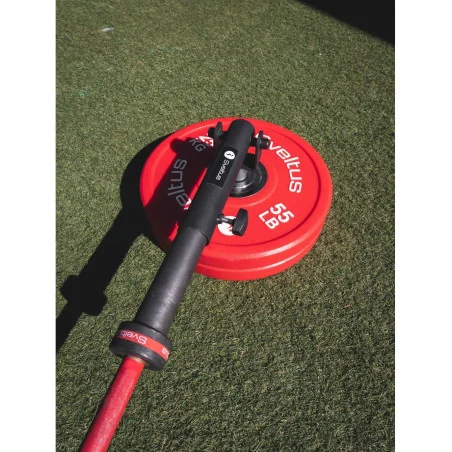 T-Bar Landmine - Sveltus