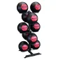 Medicine Ball and Wall Ball Rack GMR20 - Body-Solid Medicine Ball and Wall Ball Rack GMR20 - Body-Solid