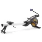 Evo Renegade Air Rower Pro ARP100
