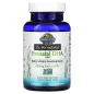 Dr. Formulated Vegan Prenatal DHA - 30 softgels - Garden of Life