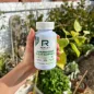 Supergreens & Gut Support - 90 caps - Reflex Nutrition