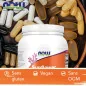 Sunflower Lecithin - Pure Powder - 454 grams - NOW Foods