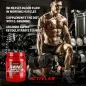 Amino Complex - Activlab