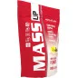 Mass Up 3000g - Activlab